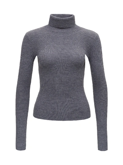 Shop Pinko High Collar Sweater In Grey
