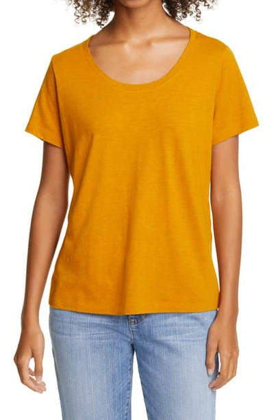 Shop Eileen Fisher U-neck T-shirt In Goldenrod