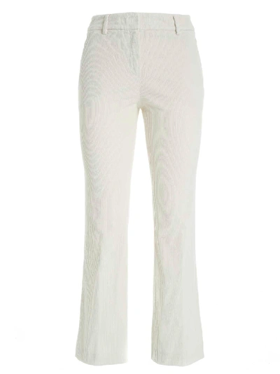 Shop True Royal Sandy Pants In Ivory Color In White
