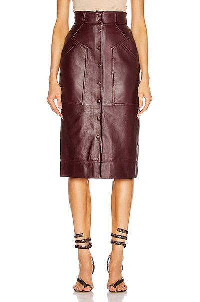 Shop Alberta Ferretti Leather Button Skirt In Brown