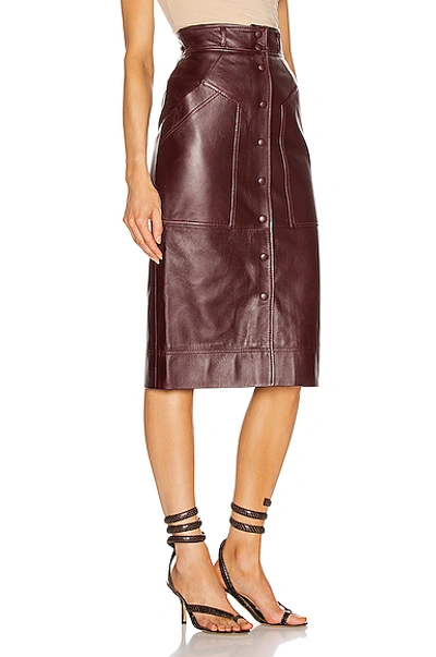 Shop Alberta Ferretti Leather Button Skirt In Brown