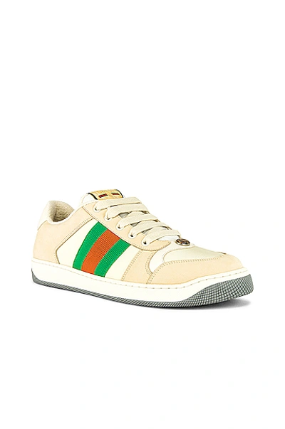 Shop Gucci Screener Low Top Sneaker In White & Red & Green