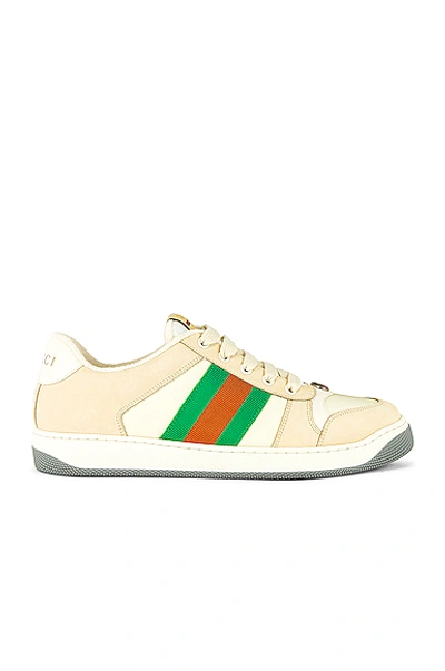 Shop Gucci Screener Low Top Sneaker In White & Red & Green