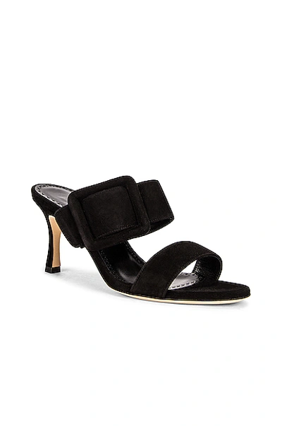 Manolo Blahnik Gable Suede Buckle Slide Sandals In Black