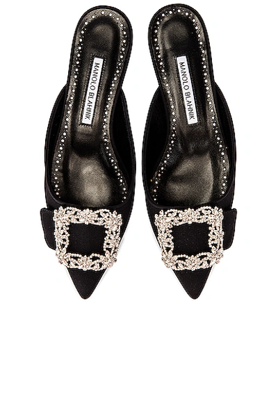 Shop Manolo Blahnik Maysale 10 Jewel Mule In Black