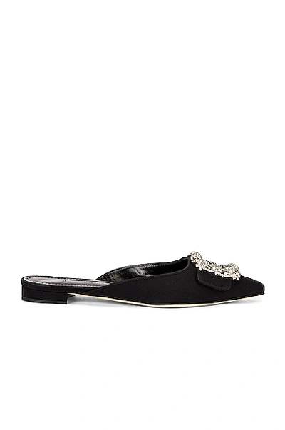 Manolo Blahnik Maysale 10 Jewel Mule In Black