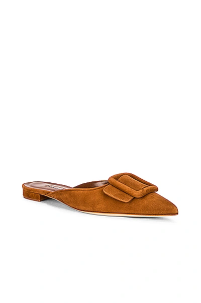Manolo Blahnik Maysale Buckle Suede Flat Mules In Medium Brown
