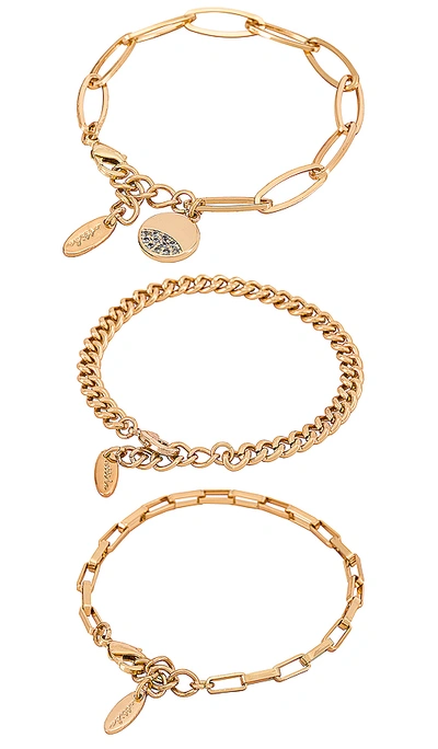 Ettika Chain Bracelet Set In Gold