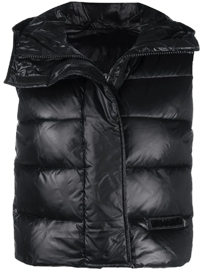 Shop Ermanno Ermanno Padded Hooded Waistcoat In Black