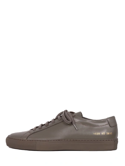 Shop Common Projects Sneaker Achilles Gray In Grey