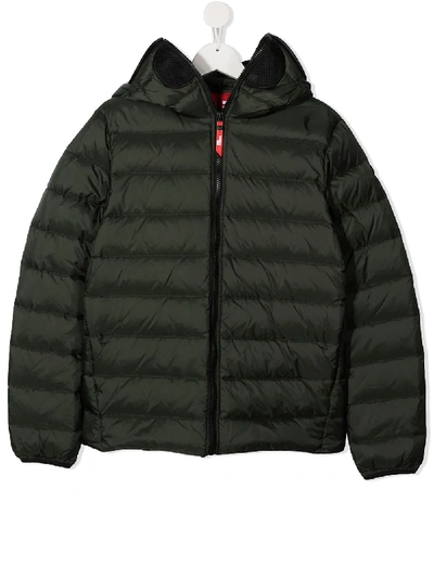 Shop Ai Riders On The Storm Young Padded Hood Jacket In Green