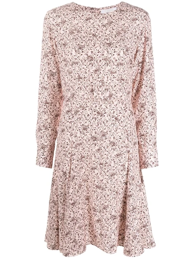 Shop Chloé Floral-print Dress In Pink