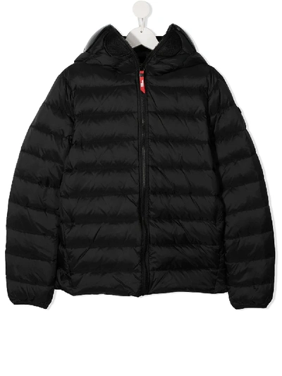 Shop Ai Riders On The Storm Young Padded Jacket In Black