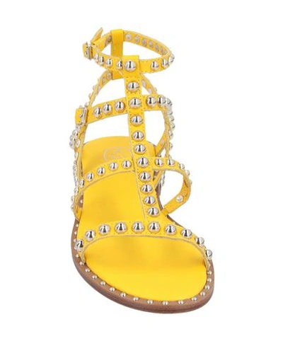 Shop Ash Sandals In Yellow