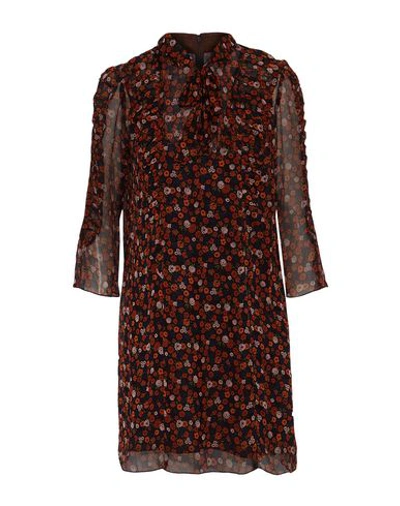 Shop Anna Sui Short Dress In Brown