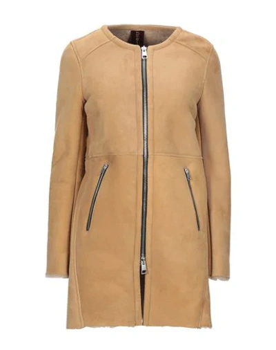 Shop Delan Coats In Camel