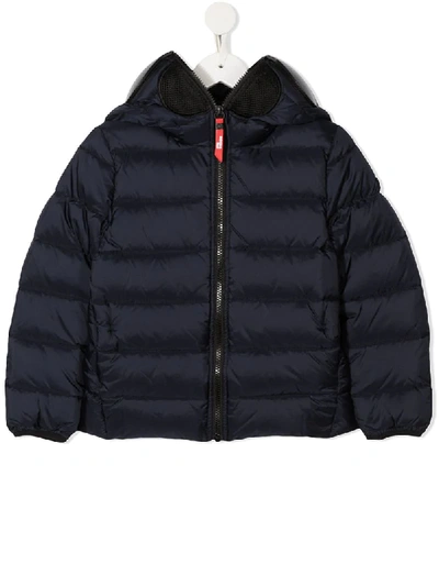 Shop Ai Riders On The Storm Young Hooded Padded Jacket In Blue