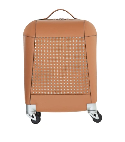 Shop Aviteur Spinner Suitcase (52cm)