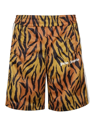 Shop Palm Angels Tigerskin Print Tech Fabric Shorts In Dark Orange