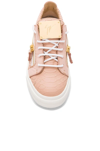 Shop Giuseppe Zanotti Low Top Snakeskin Embossed Leather Sneakers In Pink