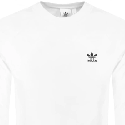 Shop Adidas Originals Essential Sweatshirt White