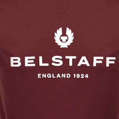 Shop Belstaff Logo T Shirt Burgundy In Burgandy