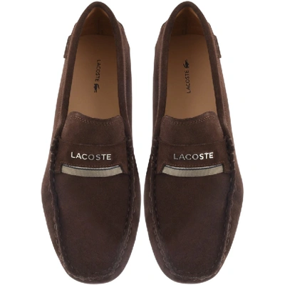 Lacoste Plaisance Driving Shoes In Brown | ModeSens