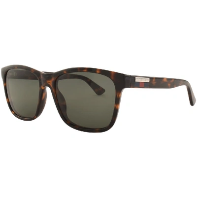Shop Gucci Gg0746s 003 Sunglasses Brown