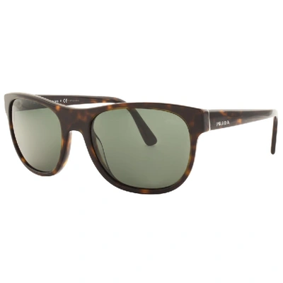 Shop Prada 0pr 04xs Sunglasses Brown