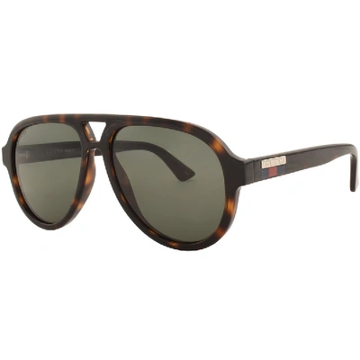 Shop Gucci Gg0767s Sunglasses Brown