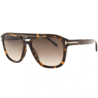 Shop Tom Ford Gerrard Sunglasses Brown