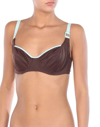 Shop Freya Bikini Tops In Dark Brown