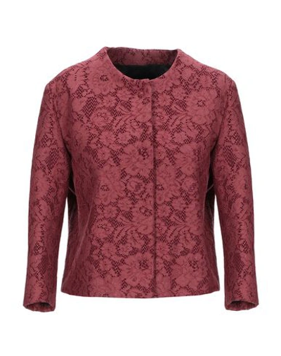 Shop Ainea Sartorial Jacket In Maroon