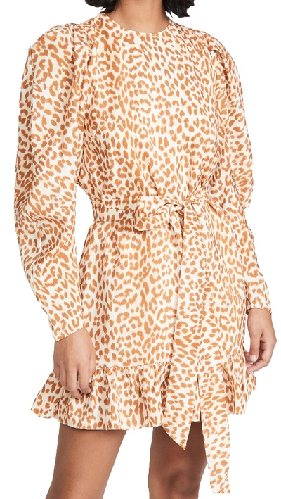 Shop Ulla Johnson Rosaria Dress In Cheetah