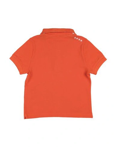 Shop Invicta Polo Shirts In Orange