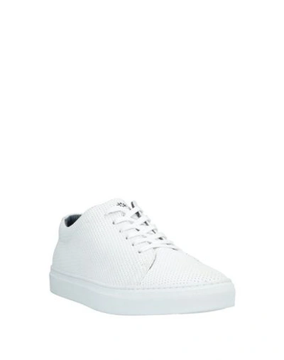 Shop Andrea Zori Sneakers In White