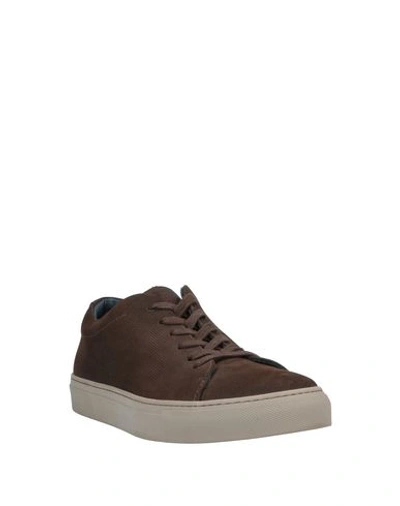 Shop Andrea Zori Sneakers In Brown