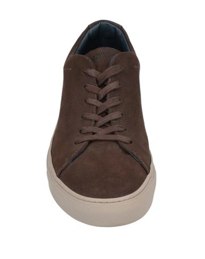 Shop Andrea Zori Sneakers In Brown