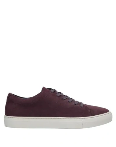 Andrea Zori Sneakers In Maroon ModeSens