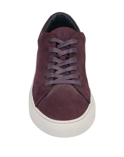 Shop Andrea Zori Sneakers In Maroon