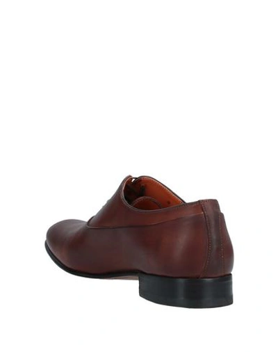 Shop Andrea Zori Lace-up Shoes In Brown