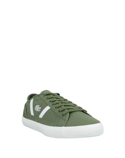 Shop Lacoste Sneakers In Green