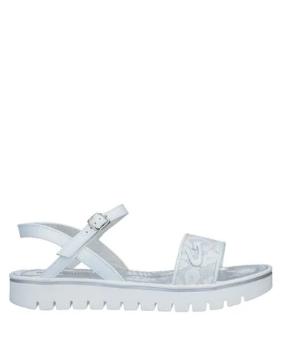 Shop Alberto Guardiani Sandals In White
