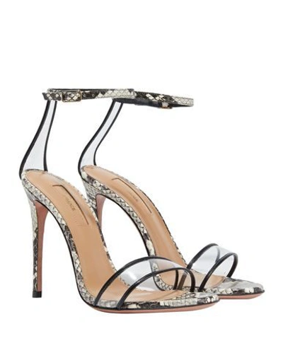 Shop Aquazzura Sandals In Black