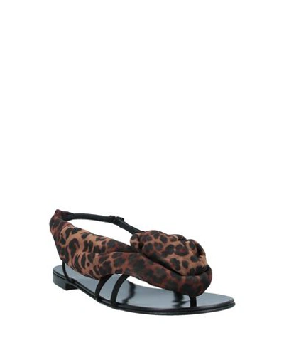Shop Giuseppe Zanotti Woman Toe Strap Sandals Black Size 7.5 Soft Leather