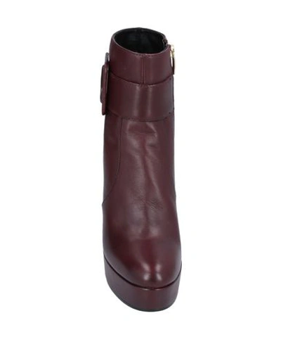 Shop Bruno Premi Ankle Boot In Maroon