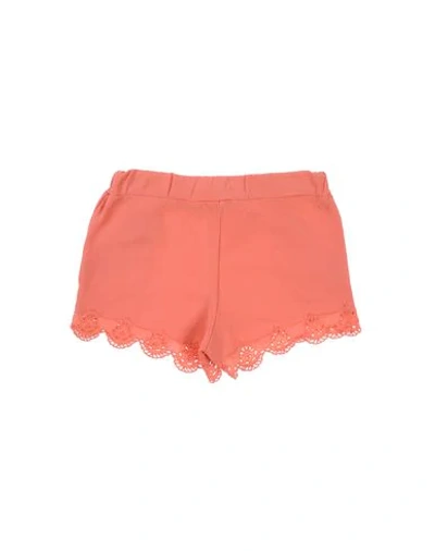 Shop Chloé Shorts & Bermuda In Coral