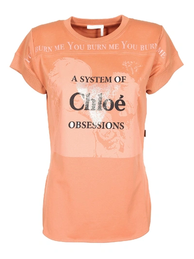Shop Chloé Milky Orange Logo Print T-shirt