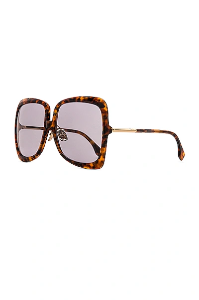 Shop Fendi Promeneye Oversize Sunglasses In Havana Brown & Grey Blue