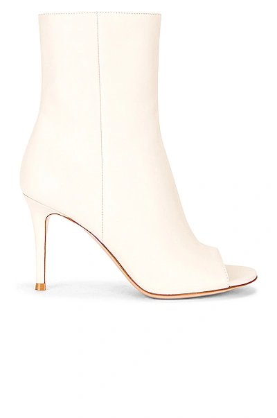 Shop Gianvito Rossi Peep Toe Booties In Off White